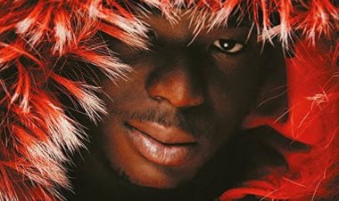 Ninho & Gradur - Lové