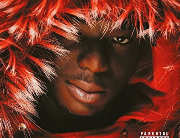 Ninho - HLM ou Palace